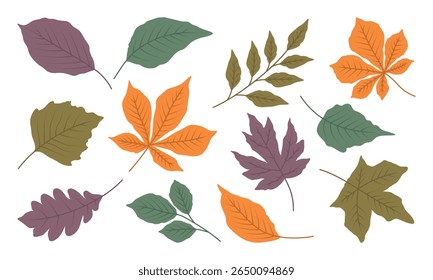 Set of autumn leaves from different trees