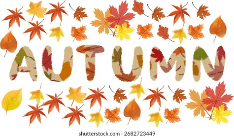 Conjunto de hojas de otoño de diferentes árboles