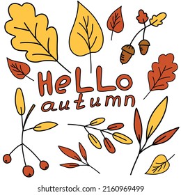 a set of autumn leaves in the doodle style. vector illustration isolated on a white background.