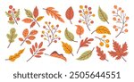 Set of autumn leaves, fallen leaves, hand drawn