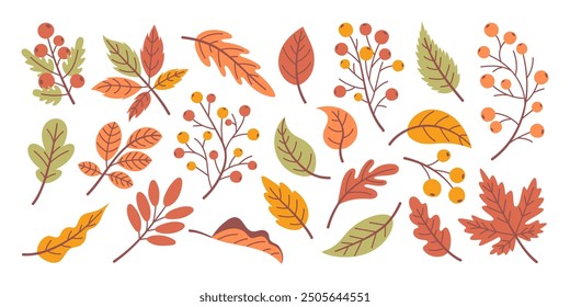 Set of autumn leaves, fallen leaves, hand drawn