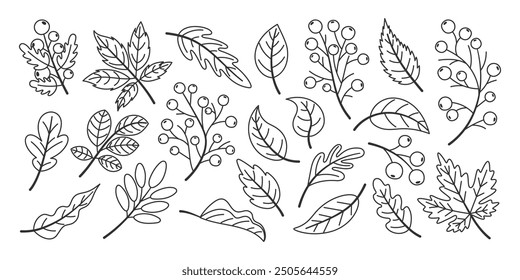 Set of autumn leaves, fallen leaves, hand drawn, line art style