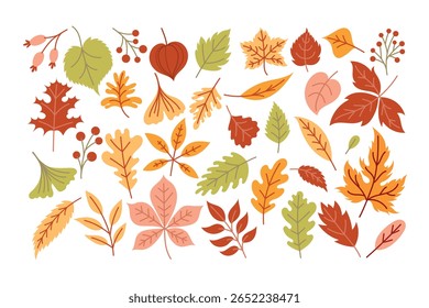 Set of autumn leaves, fallen leaves, hand draw. This design good for banner, sale poster, packaging background and greeting card
