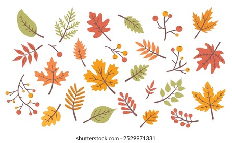 Set of autumn leaves. Fallen leaves. Vector illustration in doodle style.