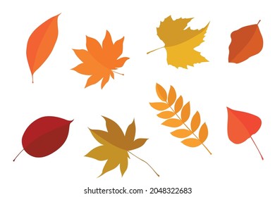 Set of autumn leaves flat, colored leaves isolated set, autumn elements, vector illustration