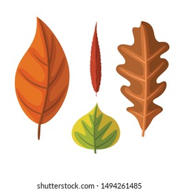 Set of autumn leaves flat design. Colourful leaves from differrent trees vector illustration. Isolated set of botanicals