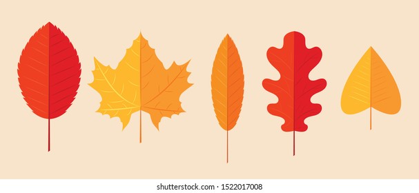 A set of autumn leaves. Flat design decor for advertisement, sale, offer, decoration. Simple vector illustration.