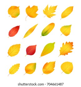 Set of autumn leaves flat icon isolated on white background. Collection of beautiful colorful leaves silhouettes vector illustration