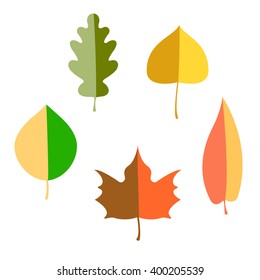 Set of autumn leaves. flat object. Five autumn leaves. Change of seasons.