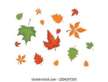 Set of autumn leaves in flat style isolated on white background vector illustration