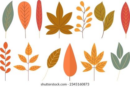 set of autumn leaves in flat style on white background vector