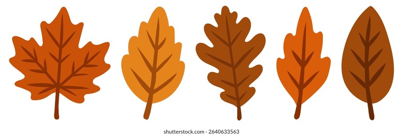 Set of autumn leaves in flat style. Charming, atmospheric leaves in various shapes and colors. Fall, nature. Vector
