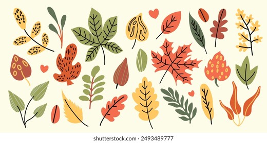 Set of autumn leaves. Autumn set of hand drawn cute design elements. Autumn season. Vector illustration.