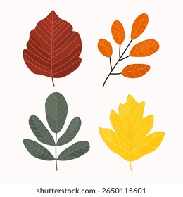 Conjunto de hojas de otoño en estilo Vector dibujado a mano. Incluye tonos rojos, amarillos, verdes y naranjas con textura plana suave. Ideal para decoración de temporada, tarjetas, pegatinas, patrones, educación y embalaje.
