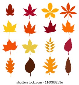 set of autumn leaves icons isolated on white background. Design element for emblem, poster, card, banner, flyer, brochure. Vector illustration