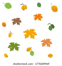 Set of autumn leaves. Isolated elements. Vector