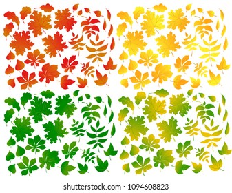 Set of autumn leaves isolated on white background.