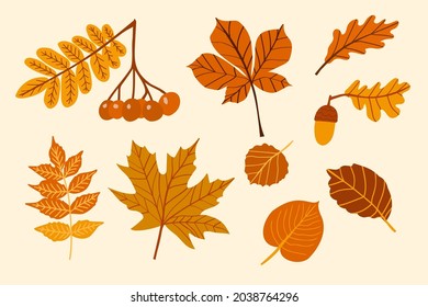 Set of autumn leaves isolated on white background. Simple hand-drawn pictures. Isolated vector illustrations. Design of stickers, logos, web apps and mobile apps.