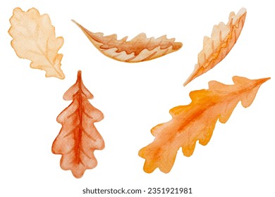 conjunto de hojas de otoño aisladas en fondo blanco, hojas con textura acuarela, ilustración vectorial, adecuado para medios sociales, materiales promocionales, anuncios, tarjetas