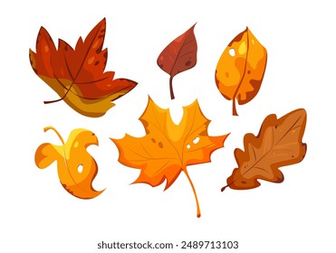 Set of Autumn Leaves Isolated on Transparent Background. Fall Dry Leaf in School Season. Decorative Botanical Clipart.  Bright Thanksgiving Overlay Design. Vector Cartoon Illustration.