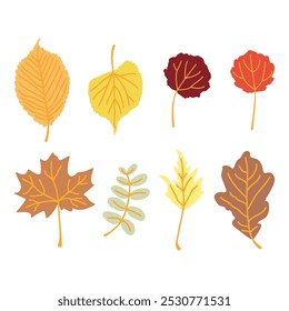 Set of autumn leaves isolated on white - hand drawn vector illustration.