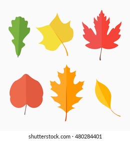 Set of autumn leaves isolated on white background. Flat style vector illustration.