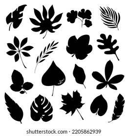 Set of autumn leaves. isolated vector leaf silhouettes