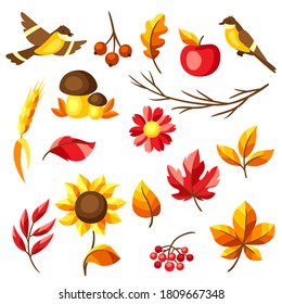 Set of autumn leaves and items. Illustration of foliage and flowers.