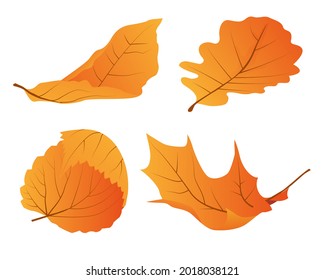 Set of autumn leaves. landscape design element set.