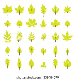 Set of autumn leaves. Leaf collection in flat style. Vector illustration