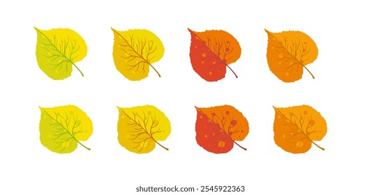 Conjunto de hojas de otoño tilo amarillo, naranja y rojo - Ilustración vectorial
