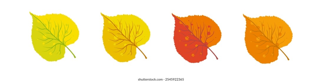 Conjunto de hojas de otoño tilo amarillo, naranja y rojo - Ilustración vectorial
