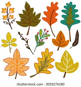 Herbstblätter mit vielen verschiedenen, handgezeichneten Vektorgrafiken