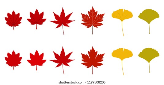 Set of autumn leaves (maple) and ginkgo