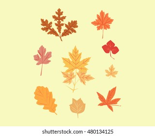 A set of autumn leaves of maples, oaks, amber, the tulip tree against the yellow background
