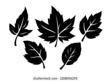 set of autumn leaves monochrome illustration