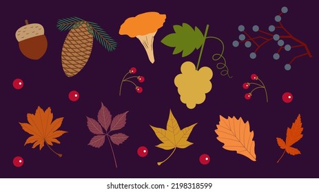 Set of autumn leaves, mushroom, berries, grapes, and acorn on dark background