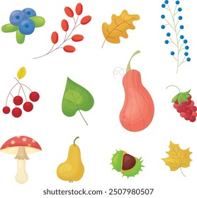 Set of autumn leaves, mushrooms and berries. Vector illustration in cartoon style.