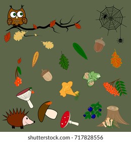 set of autumn leaves, mushrooms, berries, acorn, owl, hedgehog, stump, spider and cobweb. Vector illustration