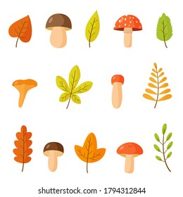 Set of autumn leaves and mushrooms on white isolated background. 