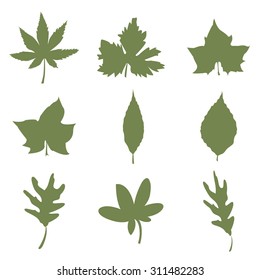 Set of autumn leaves Nature silhouette Icon Vector illustration