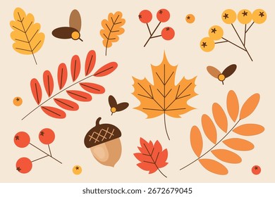 Conjunto de hojas y nueces de otoño.Ilustración vectorial.