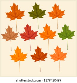 Set of autumn leaves on a light background