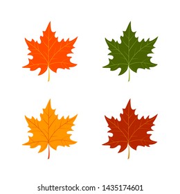Set of autumn leaves on white background. Vector illustration
