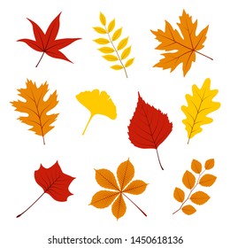 Set of autumn leaves on white background, vector illustration