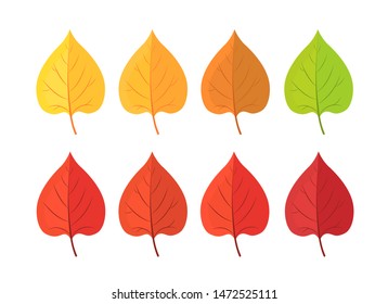 Set of autumn leaves on white background. Botanical forest plants in September or October the leaves on the trees. Cartoon leaf collection in flat style. Vector illustration.