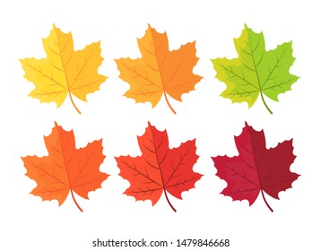Set of autumn leaves on white. Autumn background with leaves. Botanical forest plants. Maple leaf in red yellow brown and green. Vector illustration for the design of seasonal holiday greeting cards.