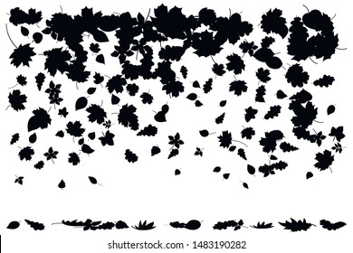 Set of autumn leaves on a white background, leaf fall, silhouette, vector illustration.