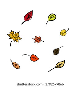 Set of autumn leaves on white background. Eps10