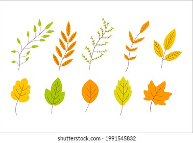 Set of autumn leaves on a white background for use in clip art or web design